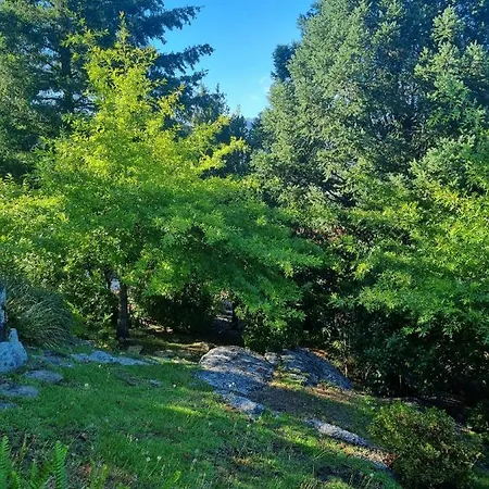 Alloggio per agriturismo A Quinta Do Refugio Braga